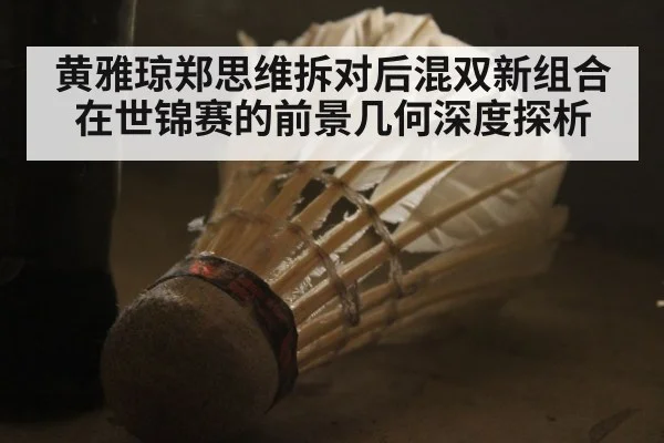黄雅琼郑思维拆对后混双新组合在世锦赛的前景几何深度探析